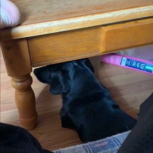 Meet your Posher, Tyler